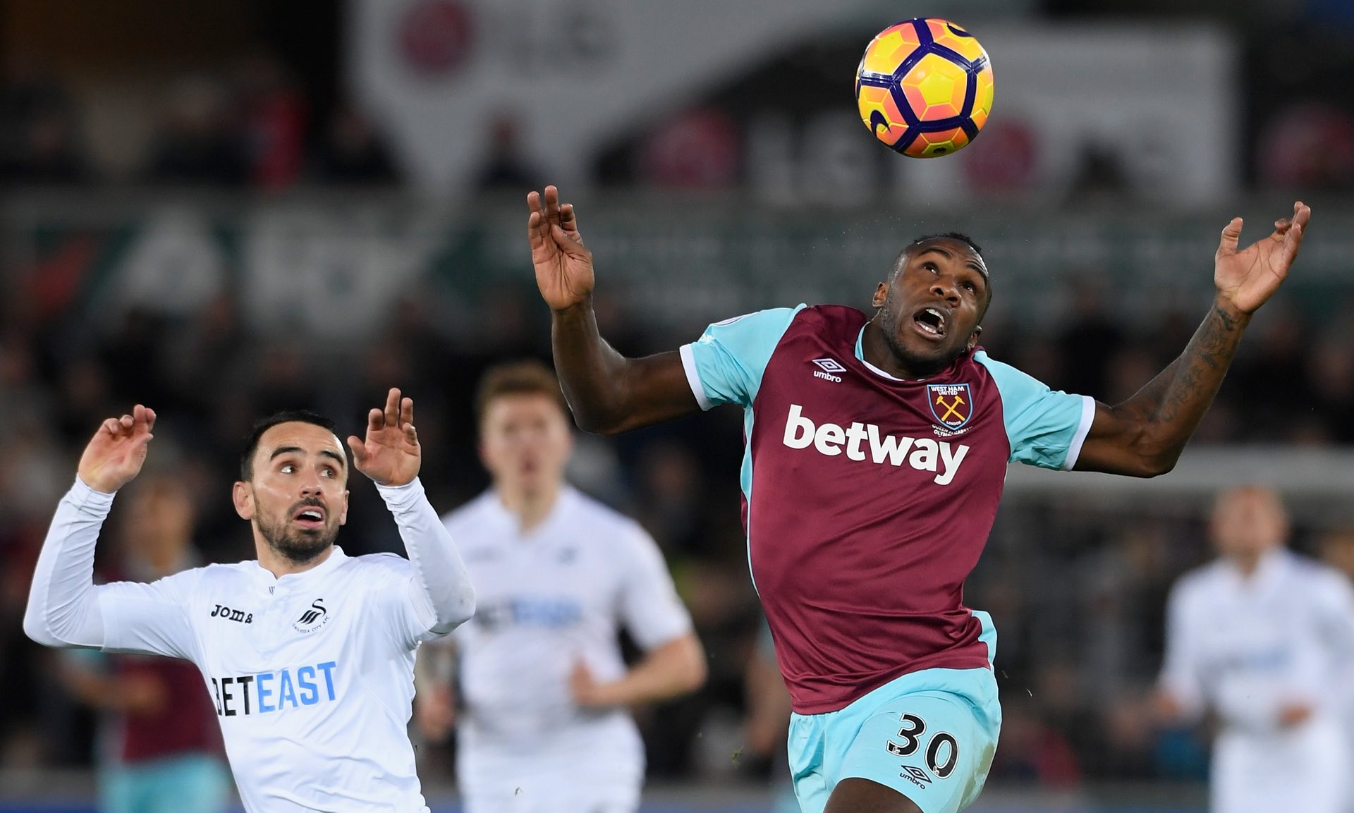 情发表了看 情发表了看